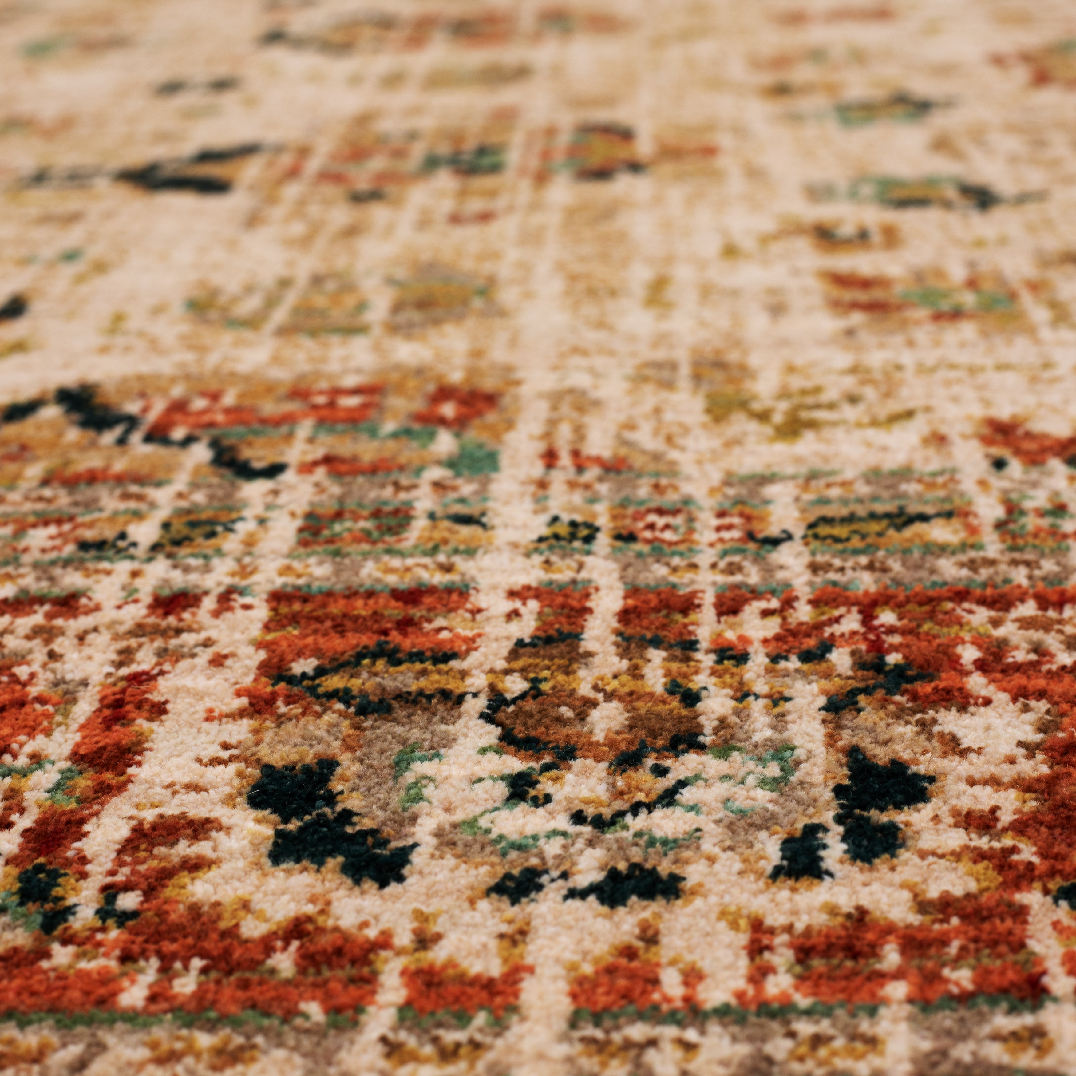 Spice Market Koyna Cream – Karastan Rugs