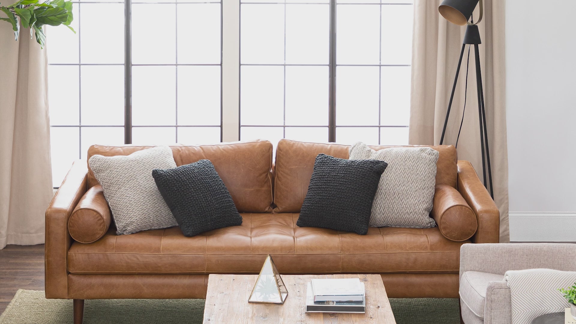 カーネーション/Parakeet&Ghost(Deluxe Edition) Paloma Lichen by Drew & Jonathan Home – Karastan Rugs