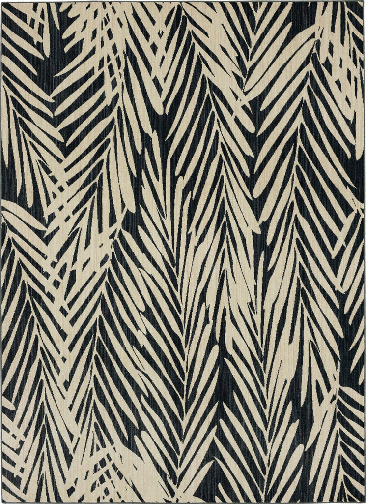 8'x11'