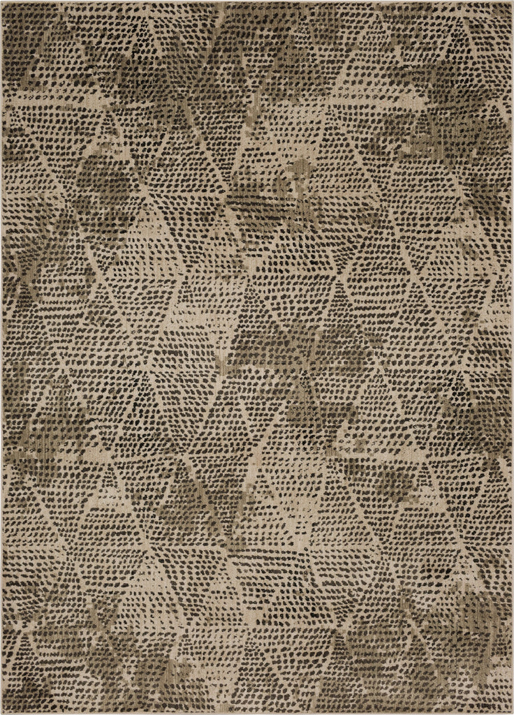 8'x11'
