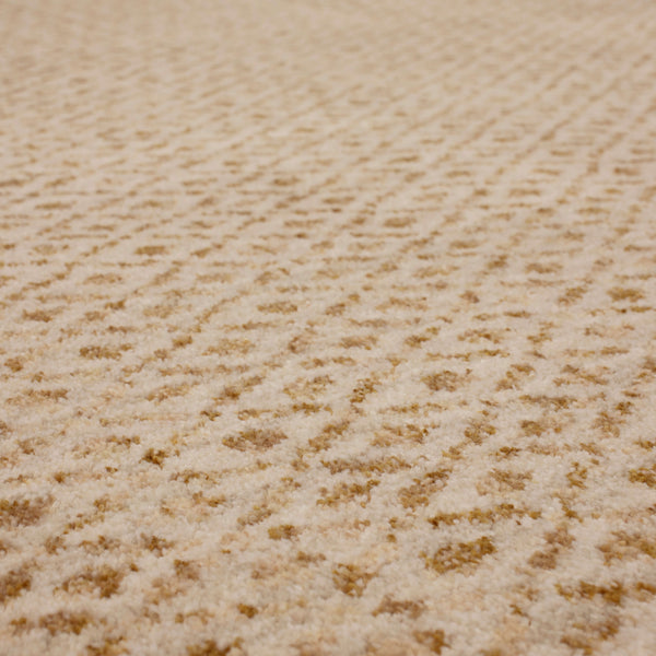 Fiber